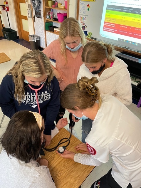 Students working with an ISU nursing student